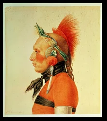 Ein Osage-Krieger, 1804